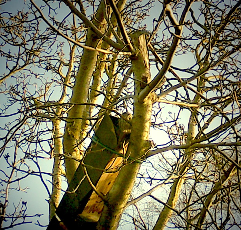 Die Sonne geht auf...