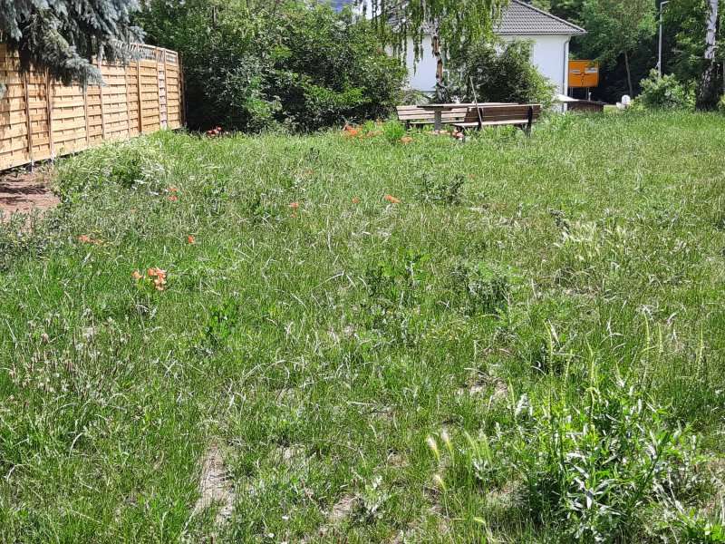 Die Ursprungs-Fläche