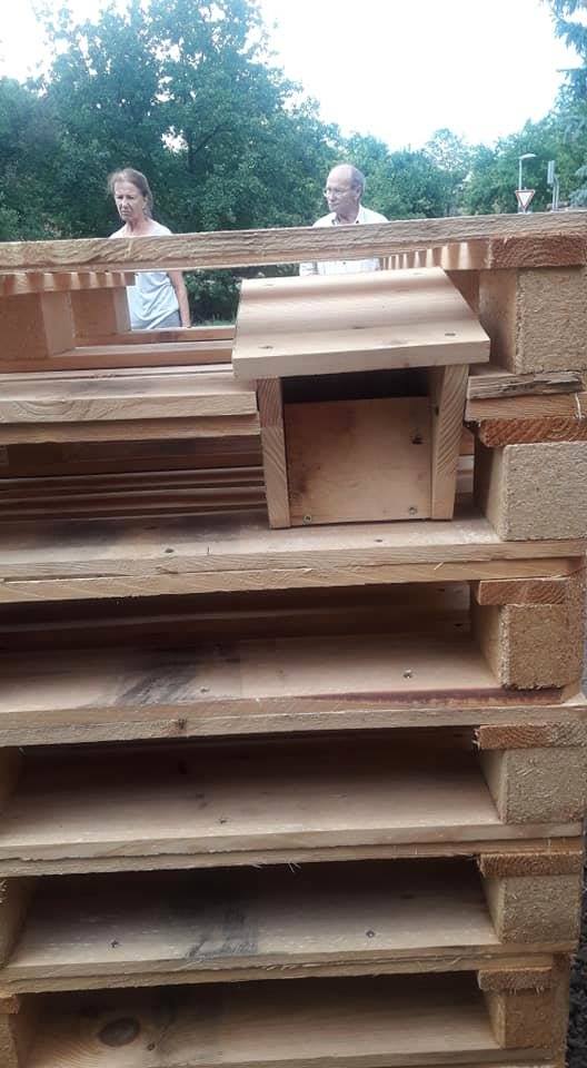 Halbhöhlenbrüter-Nistkasten