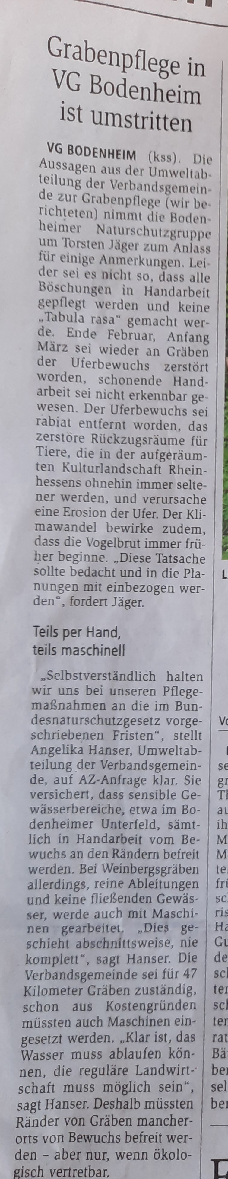 Allgemeine Zeitung Mainz, Juli 2020