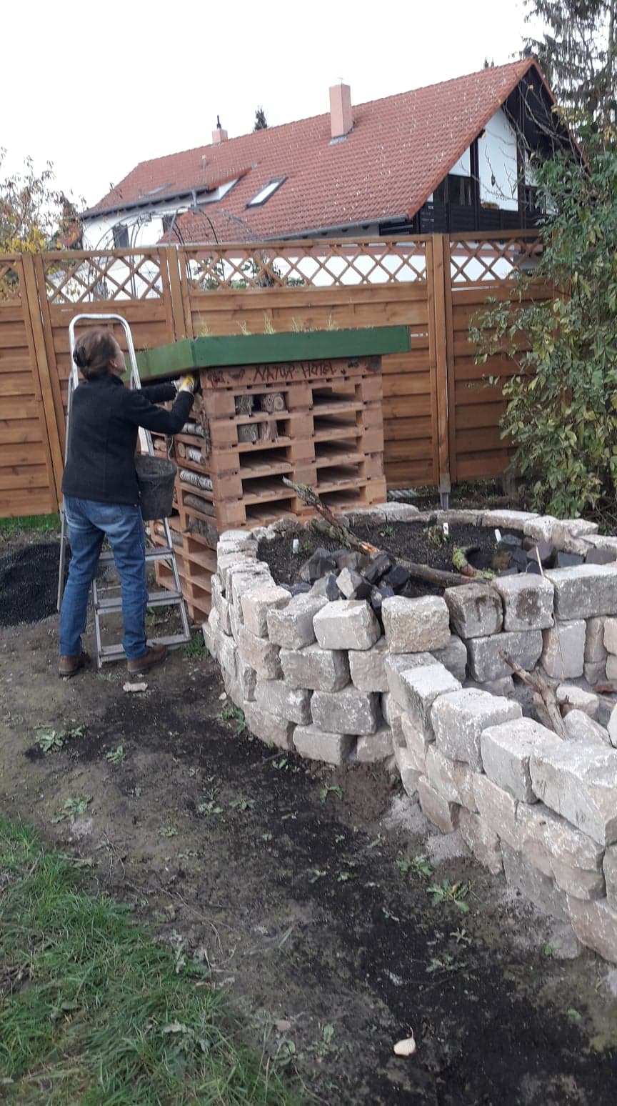 Innerhalb der Trockenmauer sitzt im Vordergrund Thymian, im Hintergrund u.a. der Wiesen-Salbei