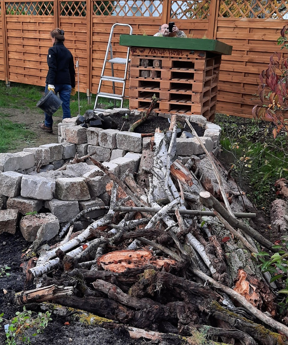 Hier sieht man den Totholzstapel