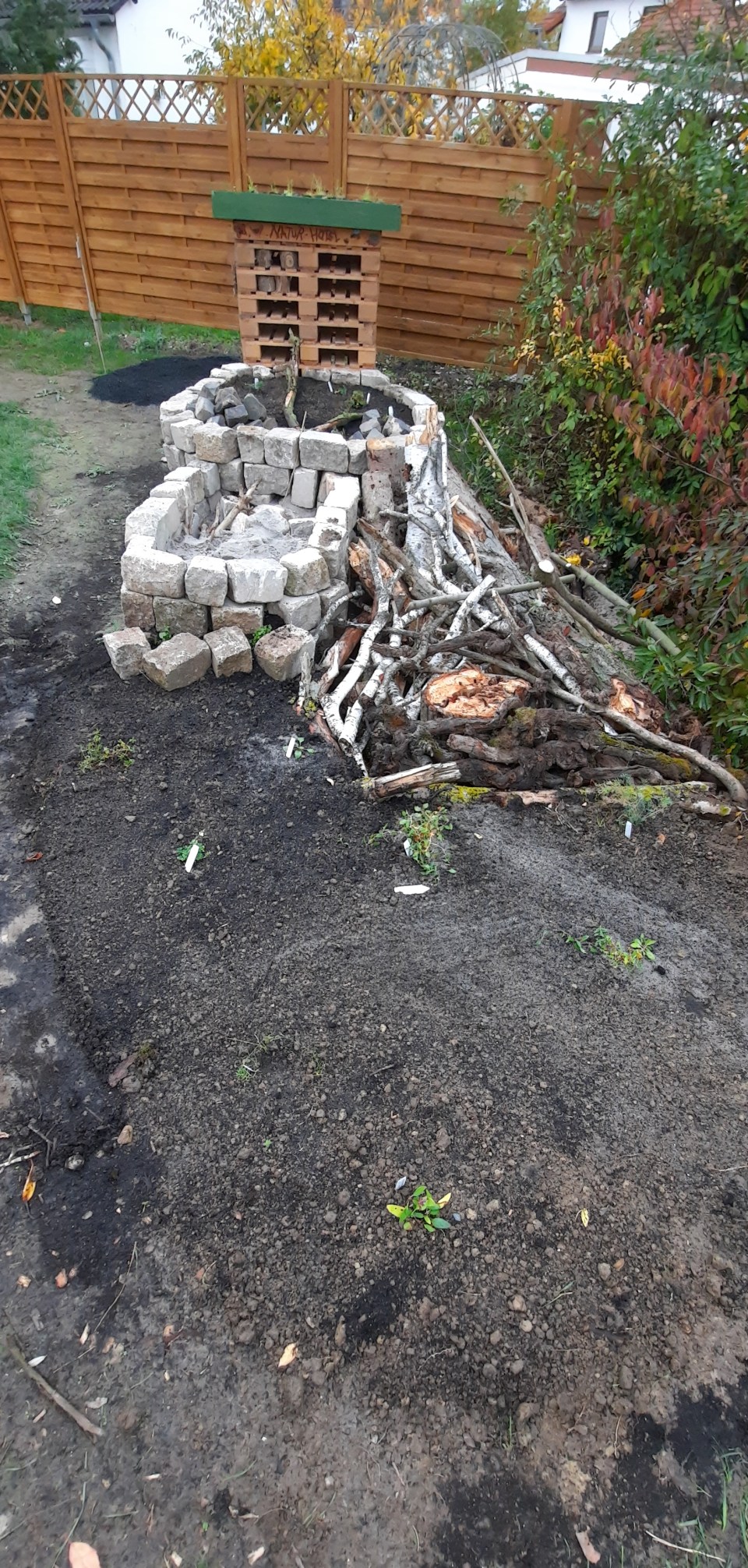 Meergrüner Bergfenchel und die Skabiosenflockenblume bekamen einen Platz am Rand der Hecke, da sie höher werden, die anderen Pflanzen wurden mit ausreichendem Abstand zueinander verteilt.