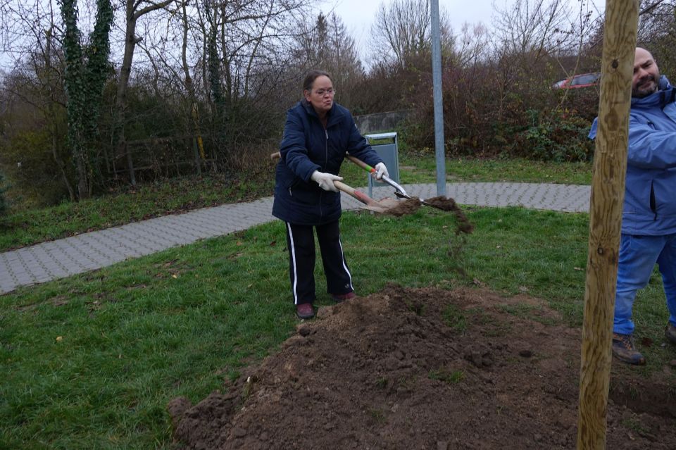 Die letzten Feinarbeiten - wir gaben 200 Prozent... :-)