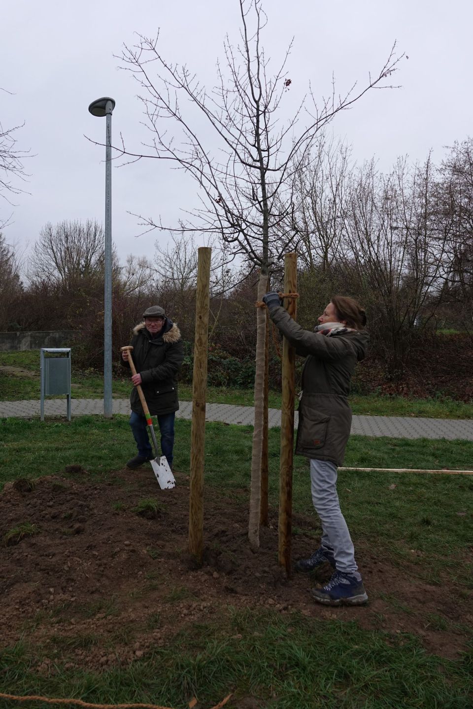 Auch gepflanzt wurde in Etappen.