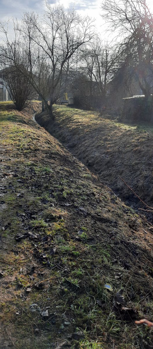 Bereits gerodeter und gemulchter Grabenabschnitt