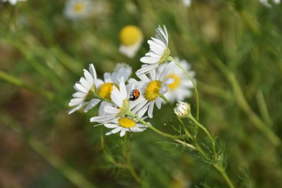 213391279_3098077360426842_7636135244824024373_n