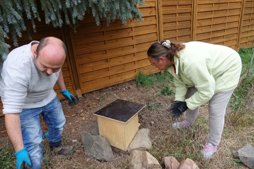 Der Hummel-Kasten wird aufgestellt