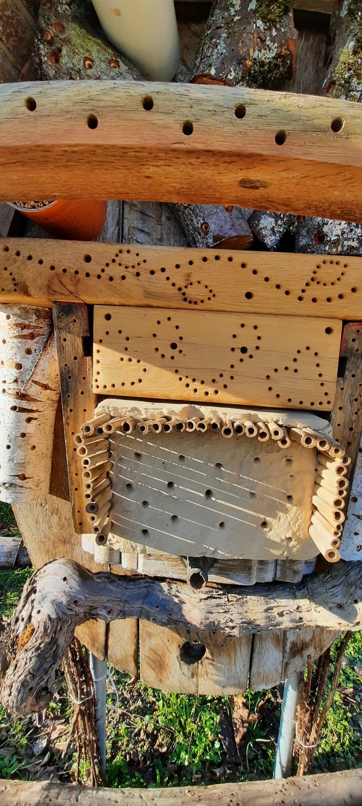 Blick auf die verschiedenen Nisthilfen