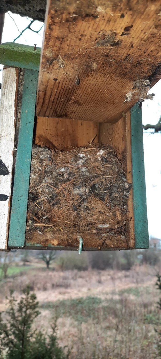 Geöffneter Nistkasten mit Nest