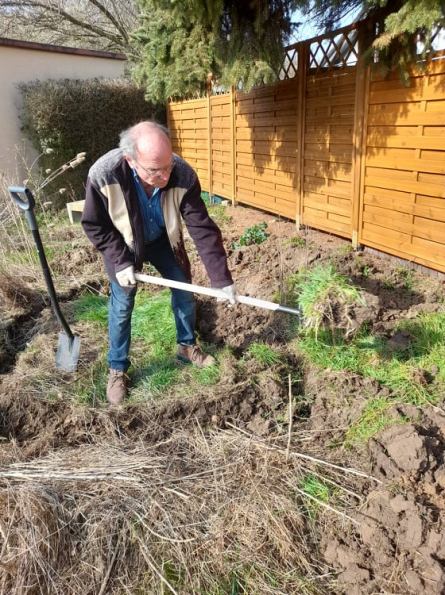 Der Schmetterlingsbereich