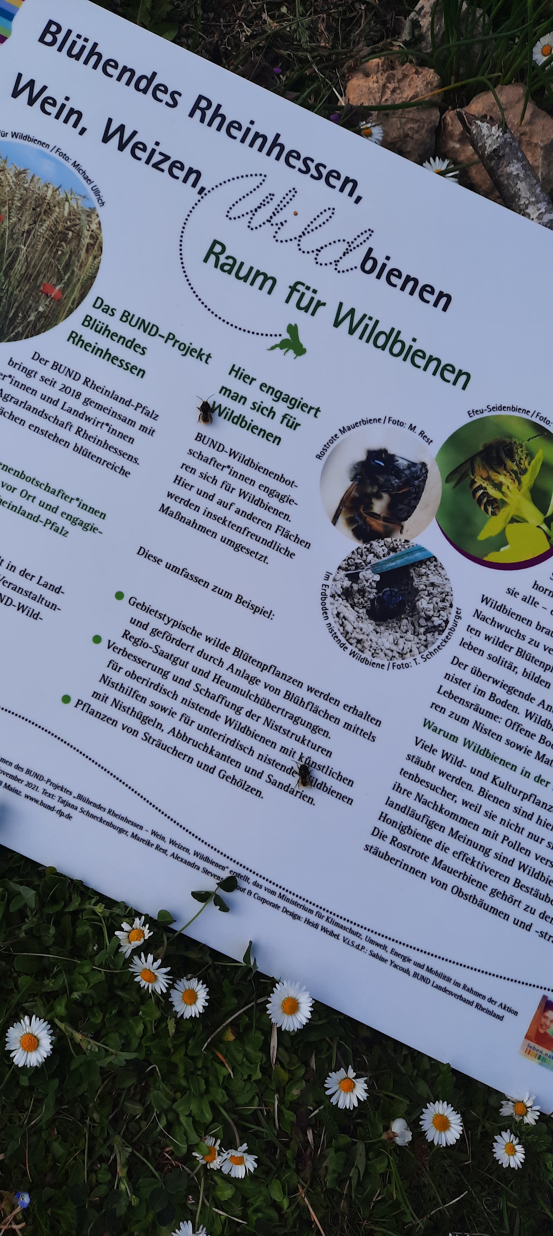 Schild mit Wildbienen