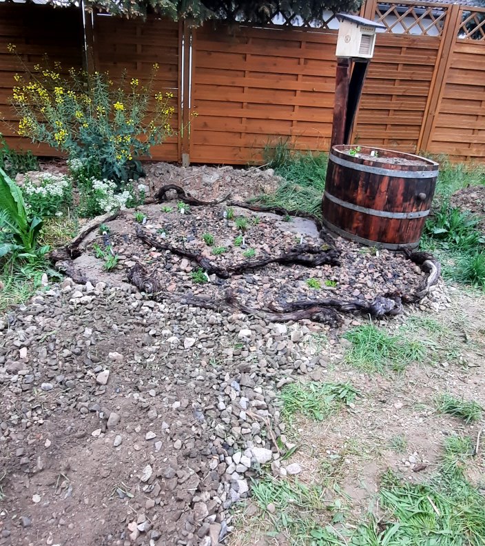 Schmetterlingsbereich