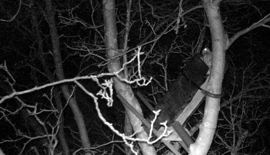 Landung vor der Einflugöffnung