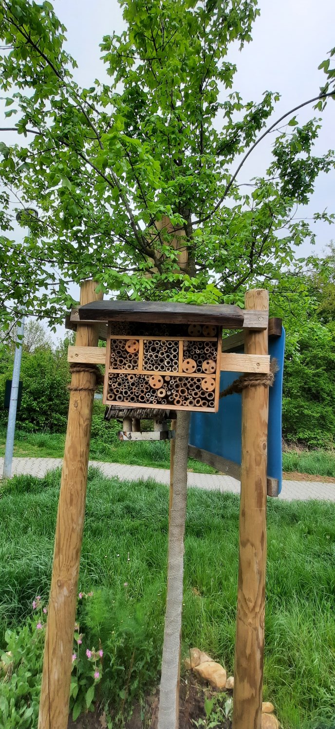 Wildbienennisthilfe - restauriert