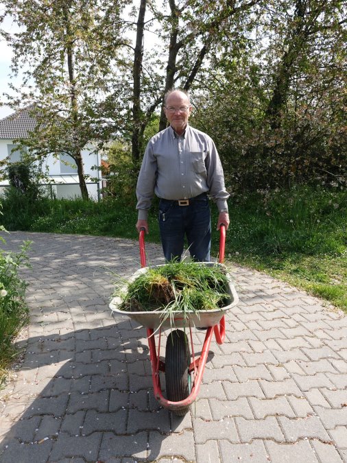 Abtransport des Aushubs