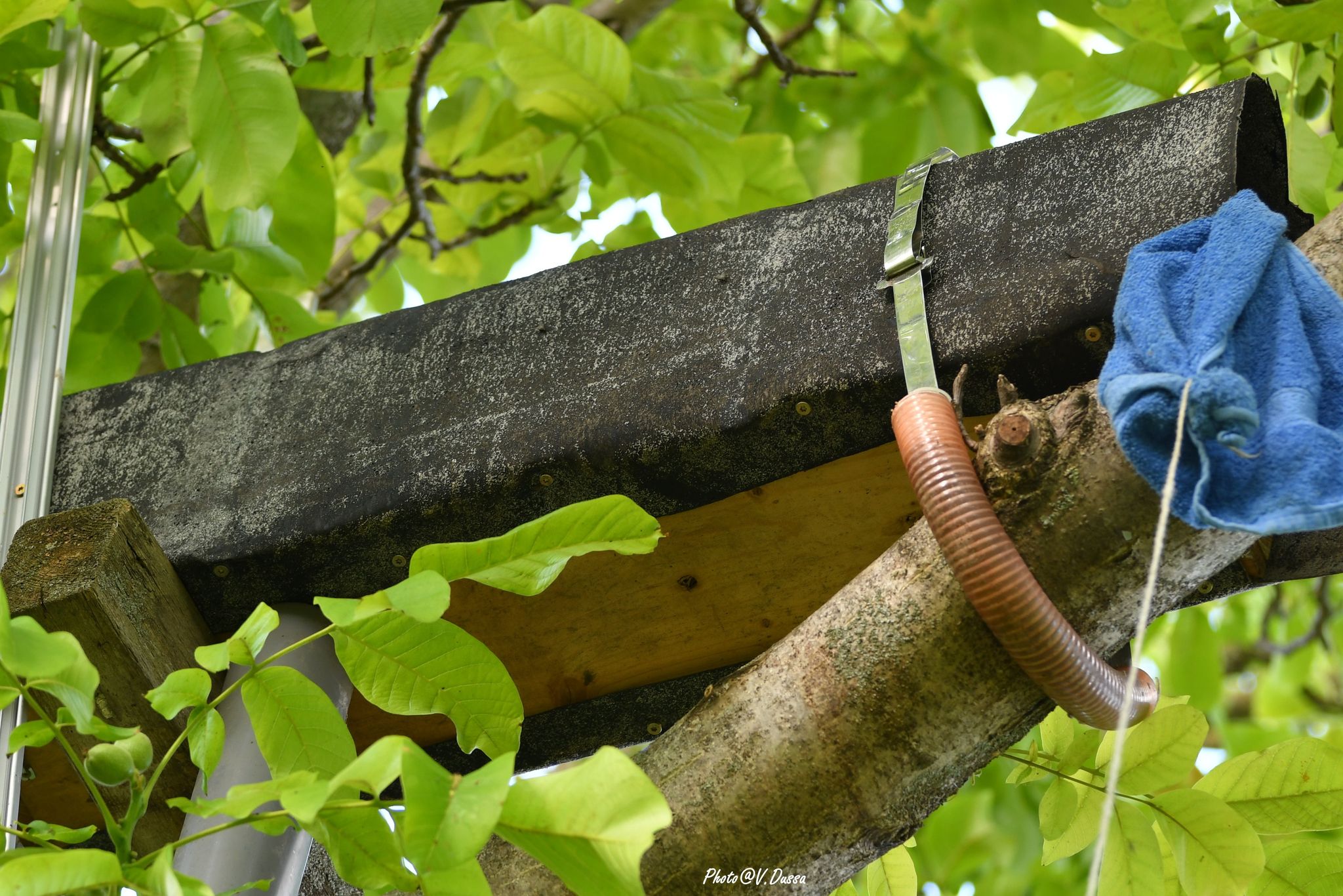 Ausflugöffnung verschlossen