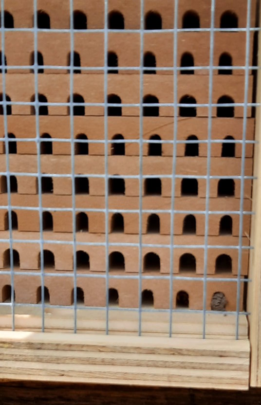 Verschlossene Röhre an neuer Wildbienen-Nisthilfe