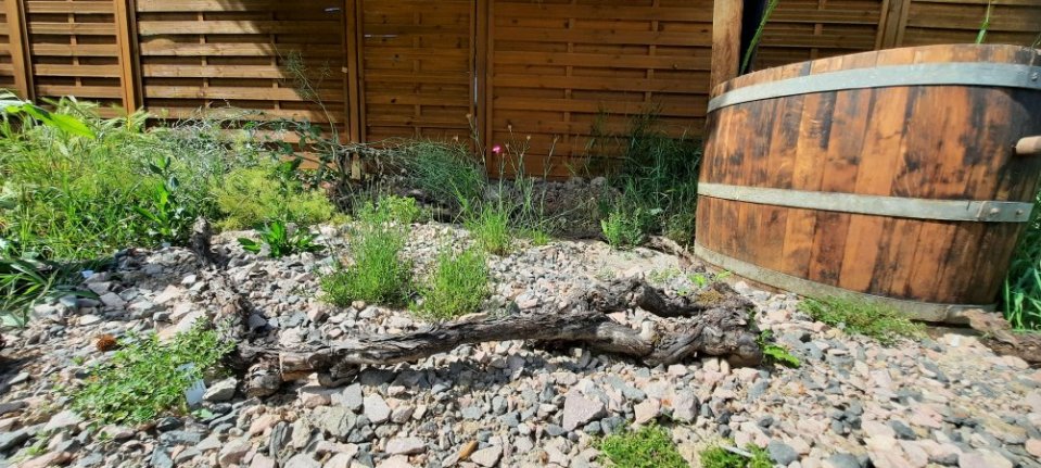 Blick auf den Magerbereich