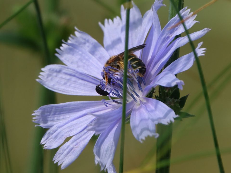 287489121_1719698985029987_9051753568822781901_n