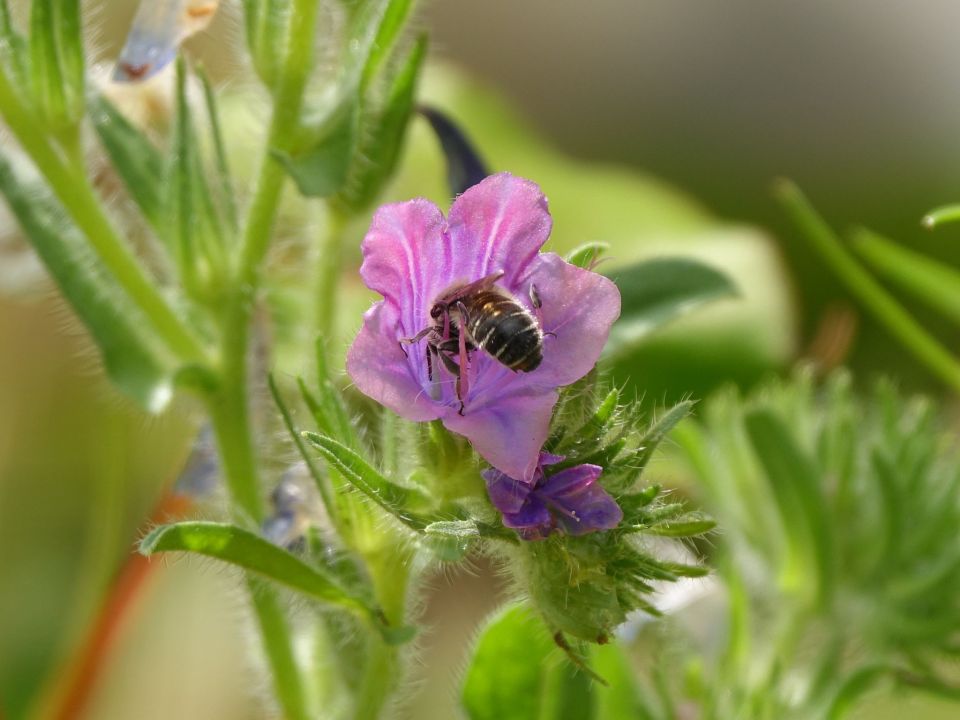 289928603_405348094868536_8946197100022670077_n