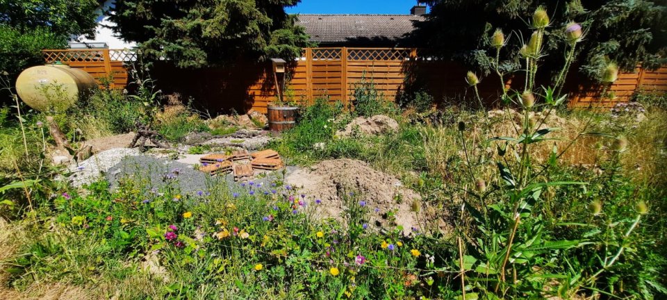 Blick auf Blühstreifen und Magerbeet