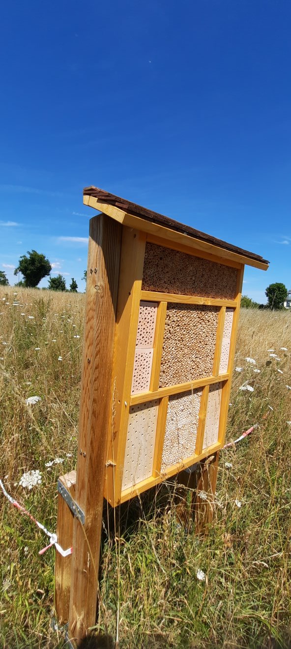 Wildbienen-Nisthilfe