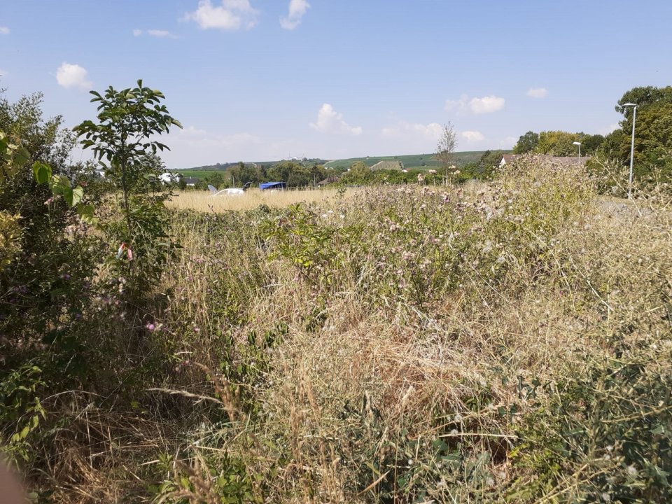 Ein Blick auf die Fläche während der Gieß-Aktion