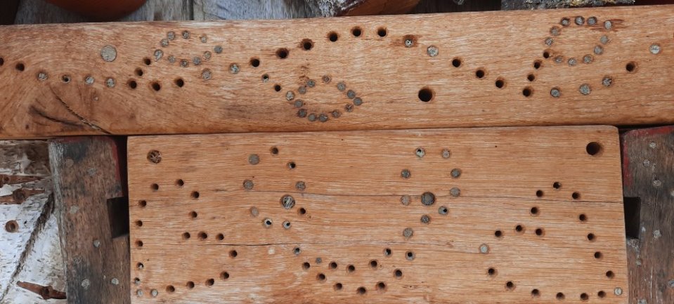 Wildbienennachwuchs in Eichenholzbalken