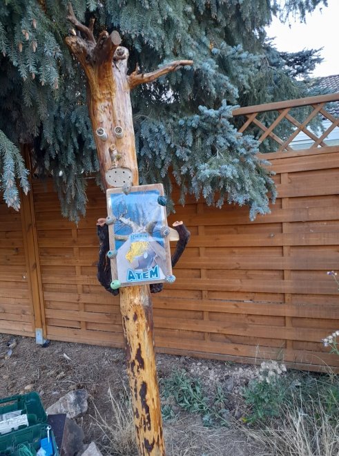 Baumstamm mit Botschaft