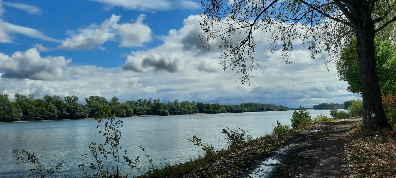 Unser schöner Rhein