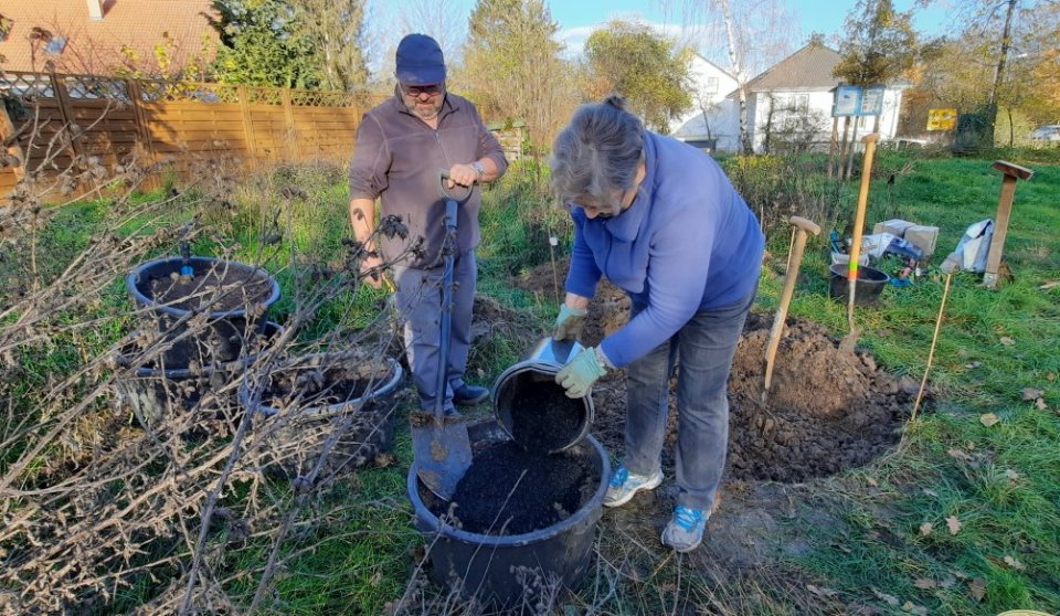 Pflanzenkohle wird beigemischt