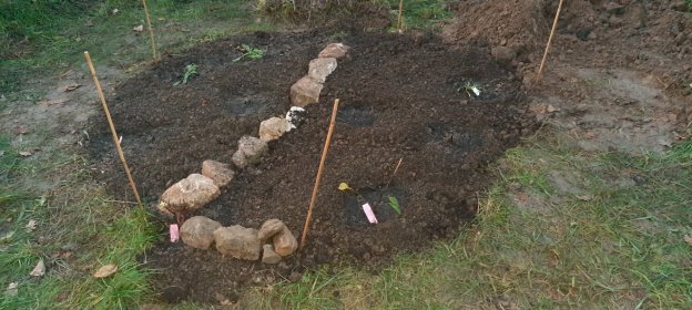 Das komplette Beet - fertig bis auf die Umrandung