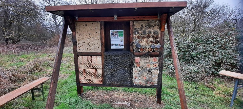 Wildbienennisthilfe des BUND