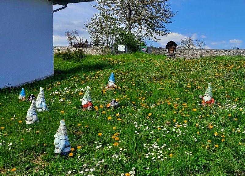 Sieben Zwerge und die Wildbienen