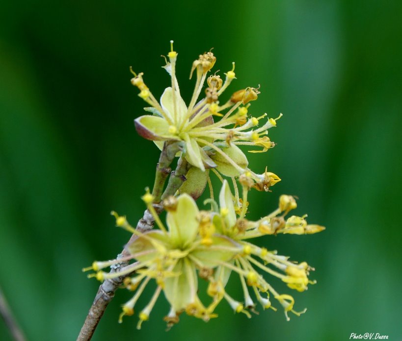 328624515_913511129887666_7663726929409047079_n