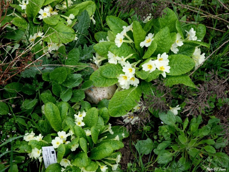 329307510_968475354512407_2114461399178703082_n