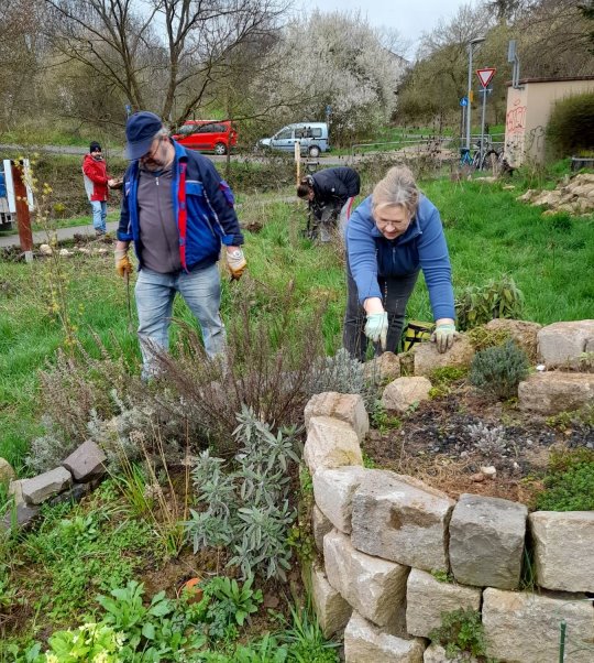 329823870_238803151872780_4659786802991191741_n