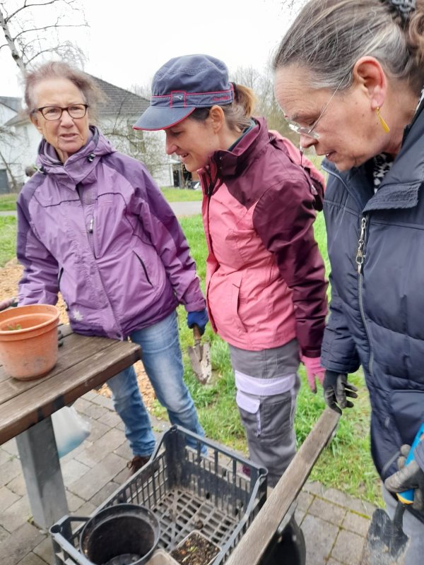 334868046_235211198882040_8009579986635401634_n