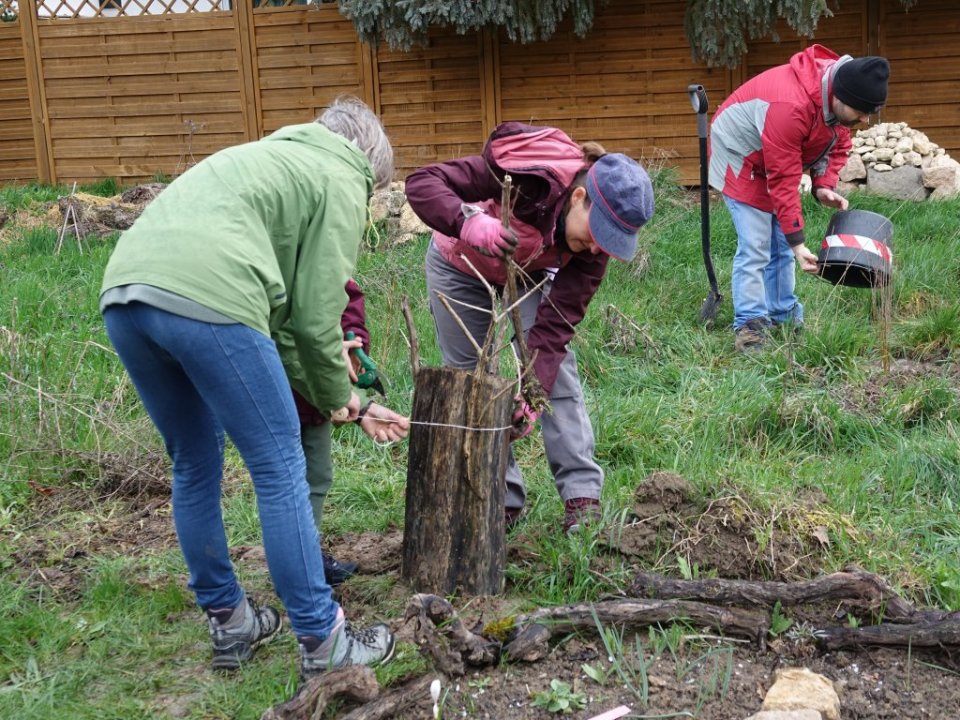 336618889_586192260207266_5730004788456328249_n