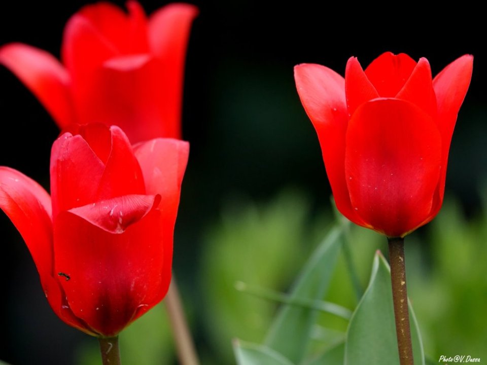 336638077_539572948262381_3453232052966866815_n