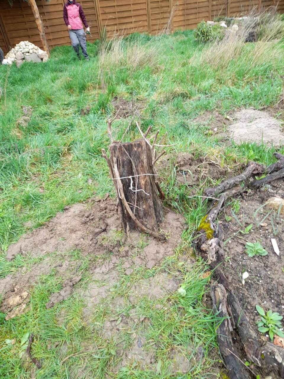 337052441_739578897697376_4027335686760354734_n