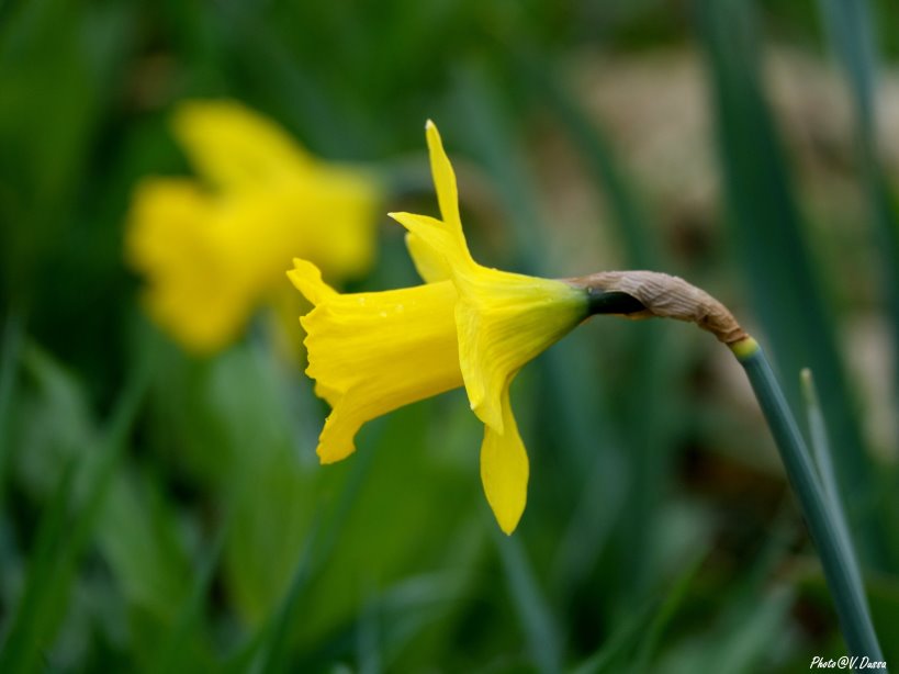 337774542_1219194472053736_2336137878655404313_n