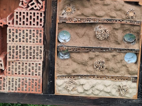 Nisthilfe der BUND-Naturkindergruppe