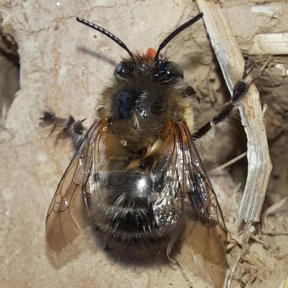 IMG_20230402_100543_256