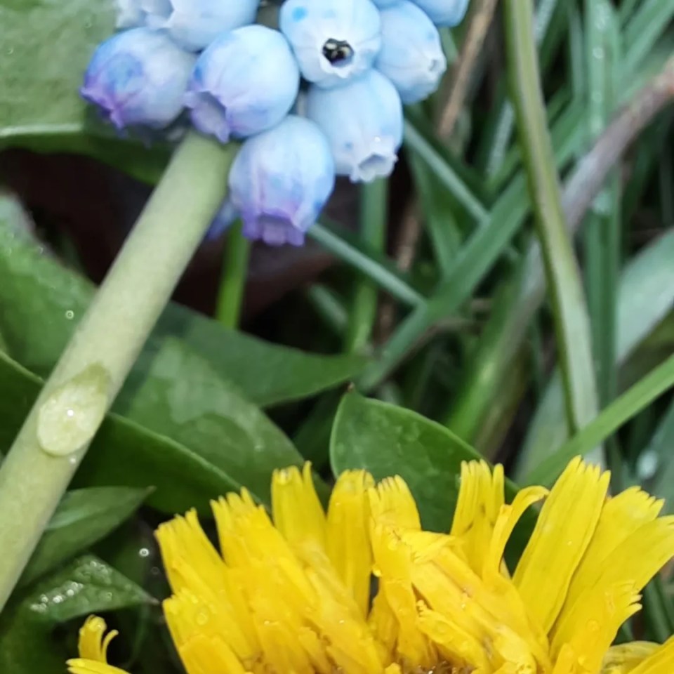 IMG_20230407_220906_157