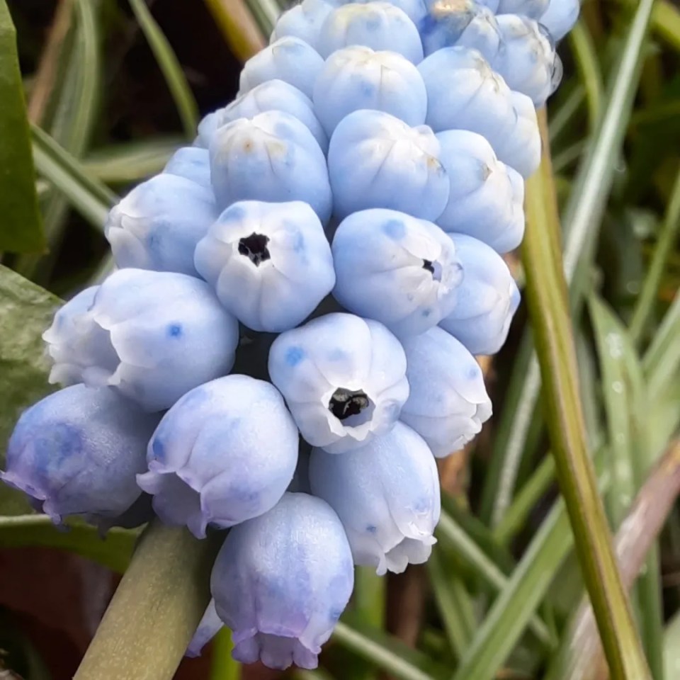 IMG_20230407_220906_274