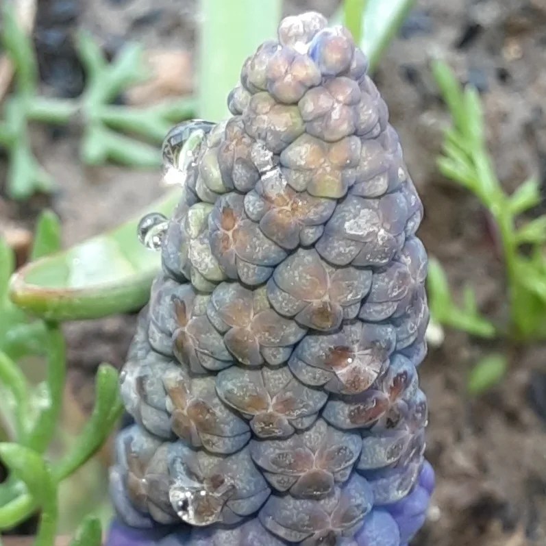 IMG_20230407_220906_348