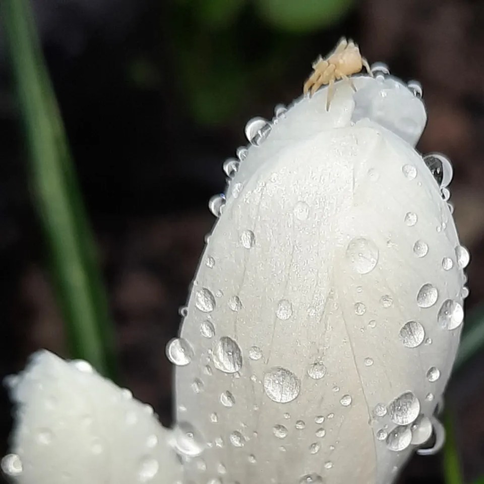 IMG_20230407_220906_432