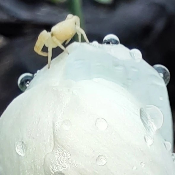 IMG_20230407_220906_621